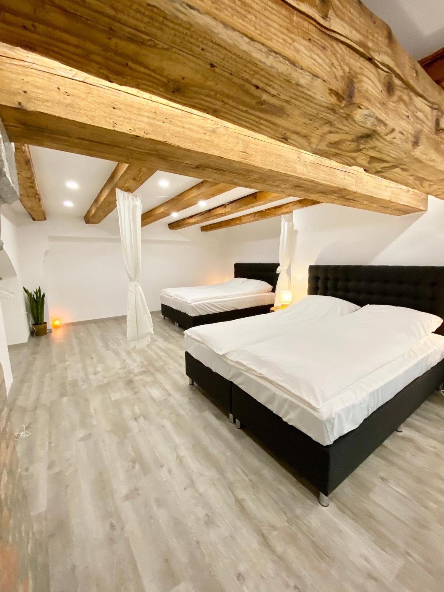 Jungle Loft - Central/free Parking