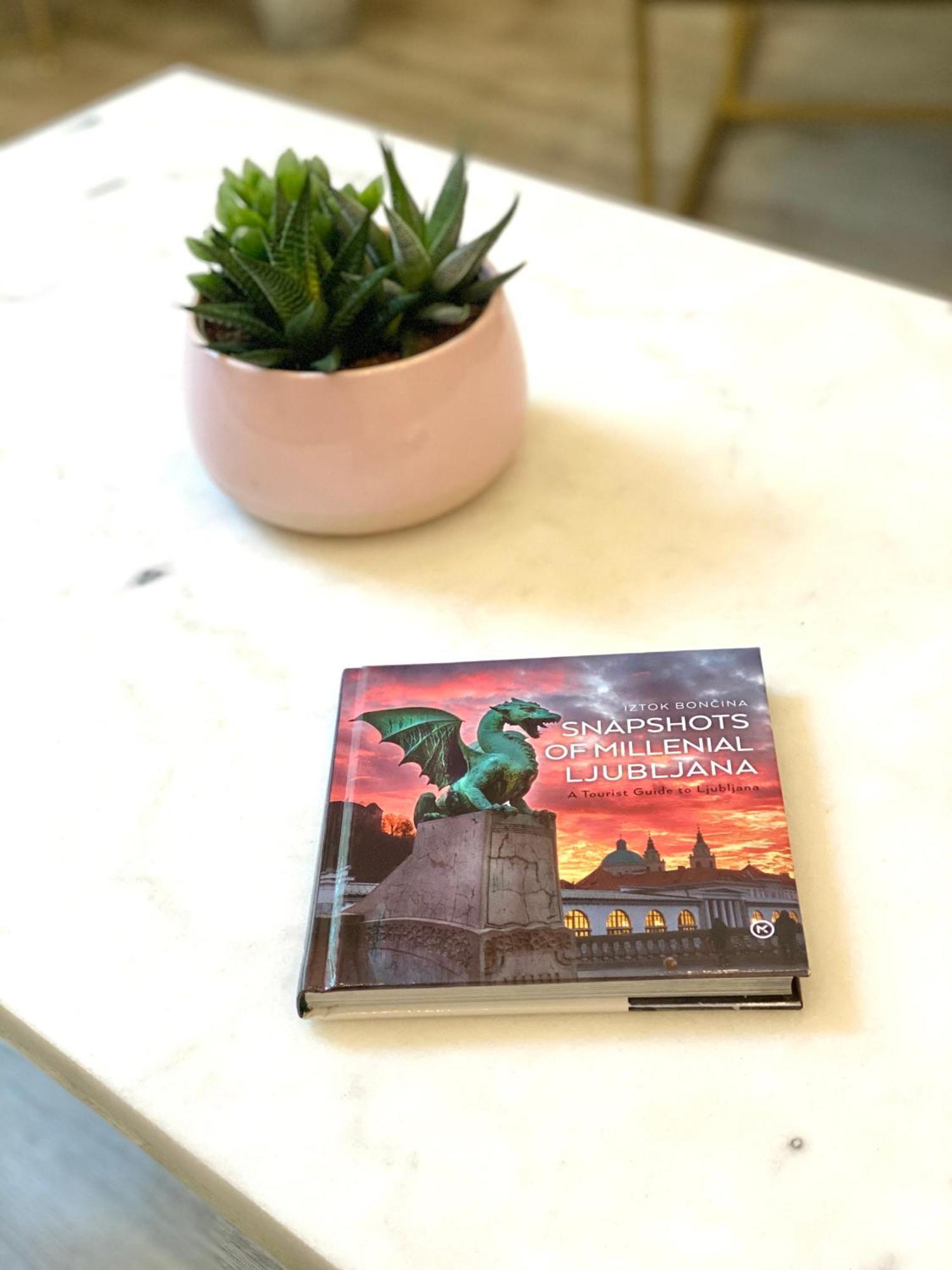 Apartment Jungle Loft - Central/free Parking *