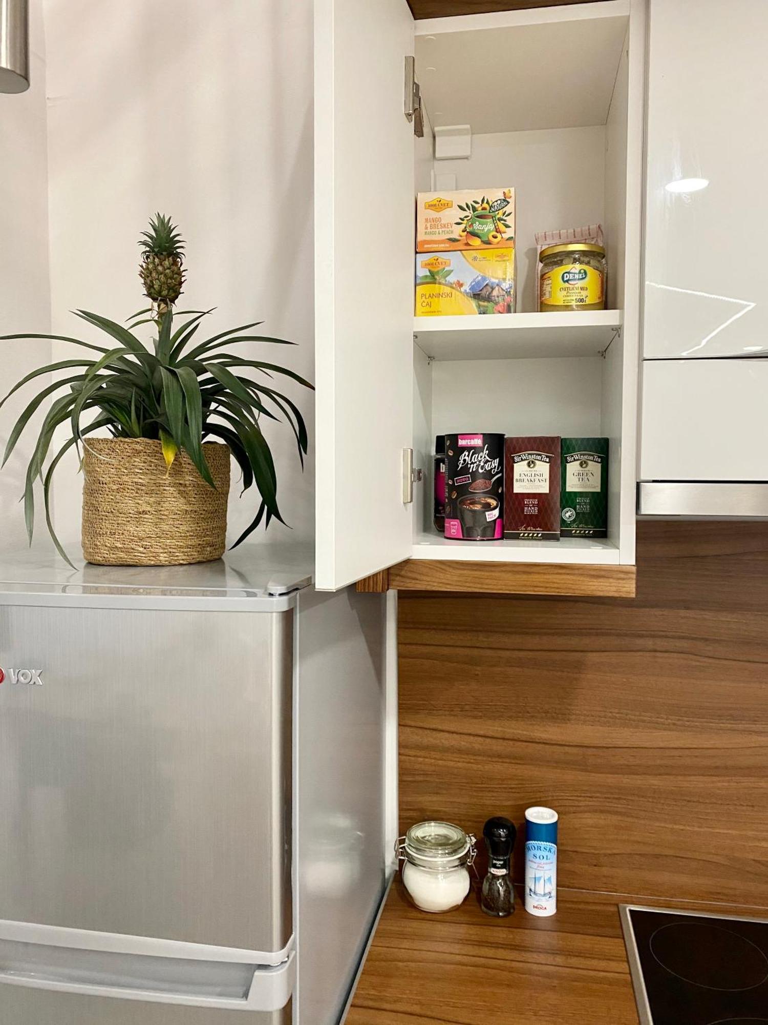 Apartment Jungle Loft - Central/free Parking *