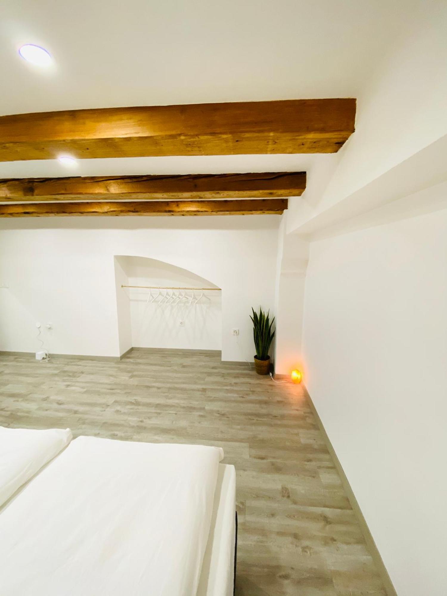 Apartment Jungle Loft - Central/free Parking