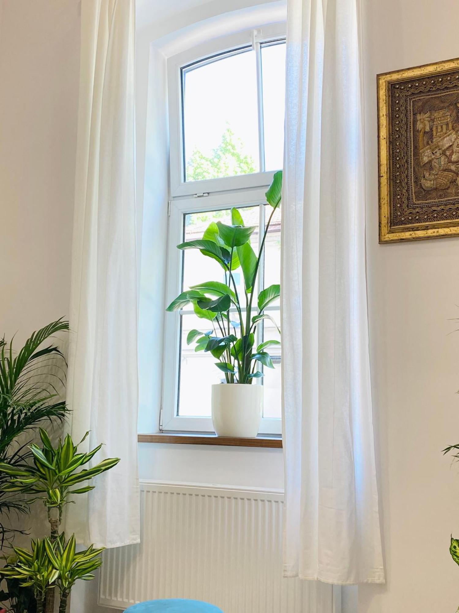 Jungle Loft - Central/free Parking Apartment Ljubljana