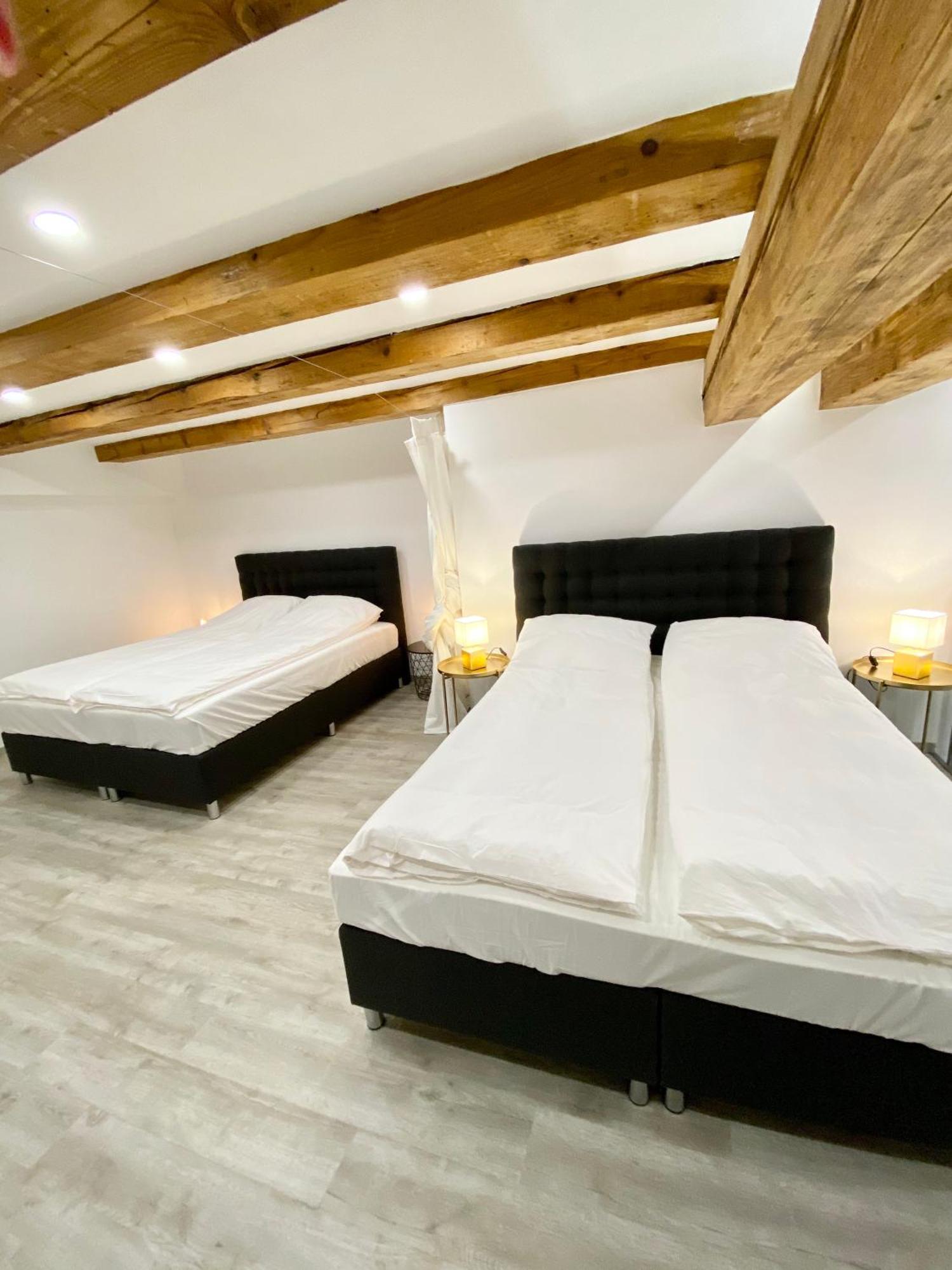 Jungle Loft - Central/free Parking