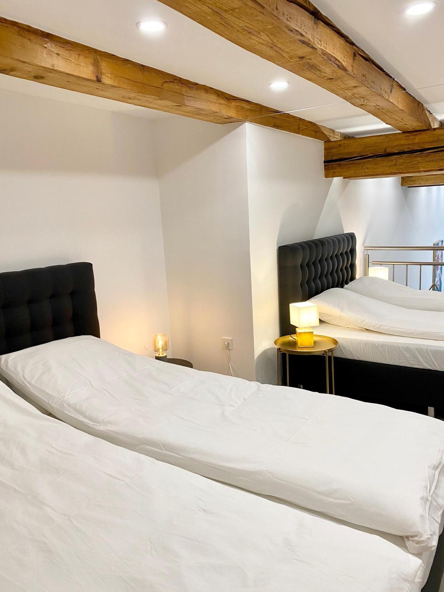 Jungle Loft - Central/free Parking Apartment Ljubljana